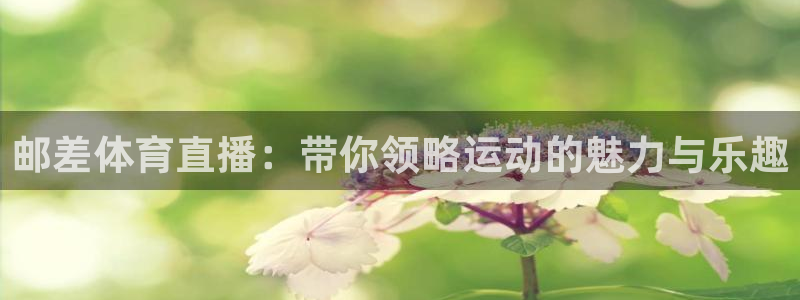 邮差体育直播：带你领略运动的魅力与乐趣