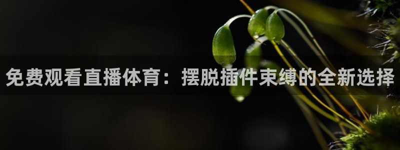 免费观看直播体育：摆脱插件束缚的全新选择